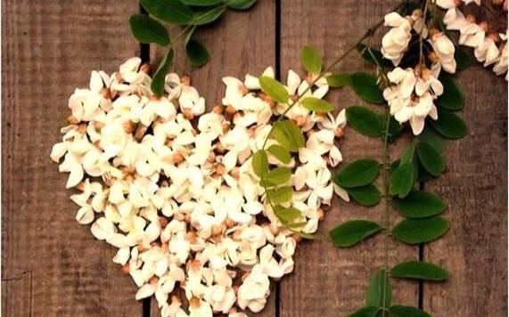 梦见吃花生米,周公解梦之梦到吃花生米 梦见吃花生米,周公解梦之梦到吃花生米