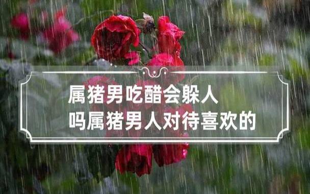 属猪女喜欢什么样的男人 属猪女喜欢什么样的男人