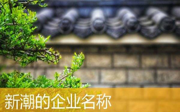 儒雅大气的公司名字,结合成语起公司名 儒雅大气的公司名字,结合成语起公司名