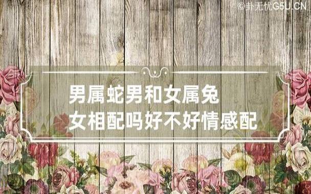 属兔与属兔相配吗