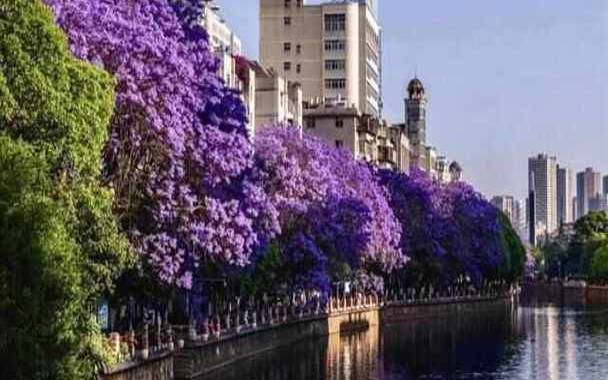 梦见再见 梦见再见