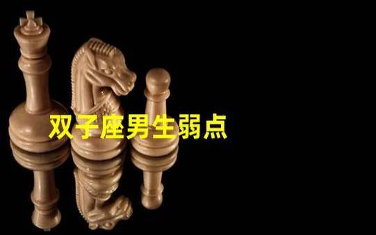 分析双子座人的弱点