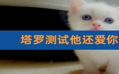 塔罗测试他为何不找你 塔罗测试他为何不找你