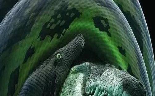 梦见打死动物，周公解梦之梦到打死动物