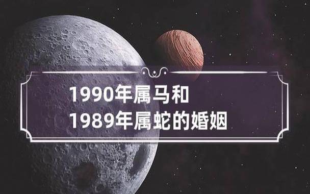 属马感情婚姻如何，属马人的爱情运势分析