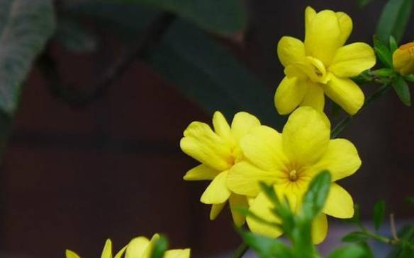 姓訾的名人 姓訾的名人