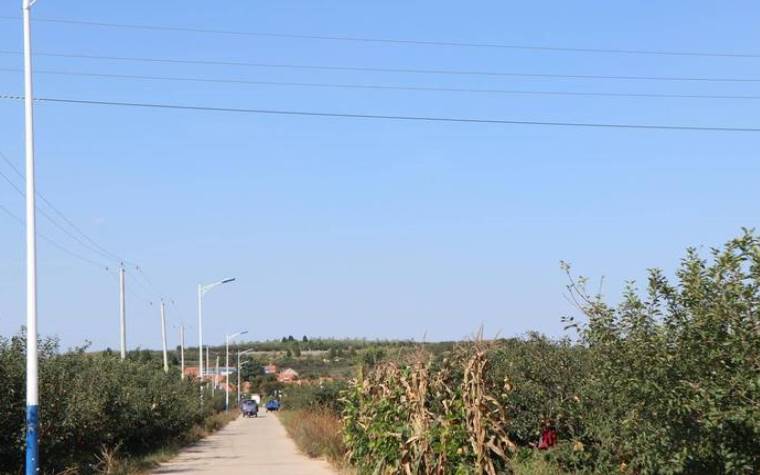 隋姓的来源及姓隋的名人