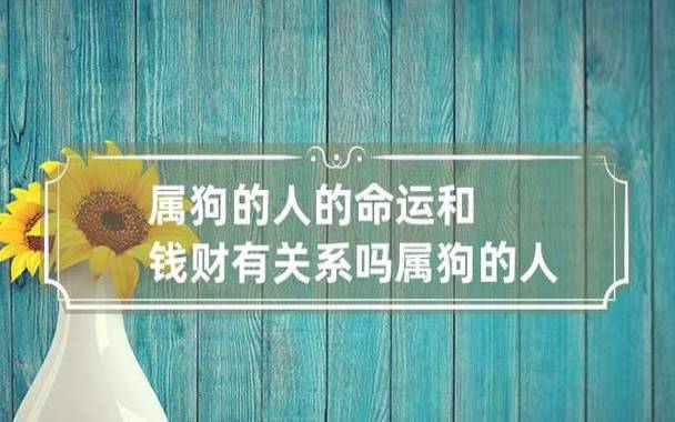 2018狗年是什么命，属狗人的命运分析