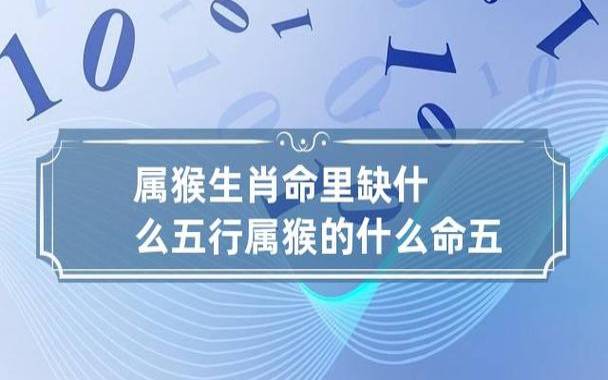 92年属猴的是什么命,92年的猴几月出生最好 92年属猴的是什么命,92年的猴几月出生最好