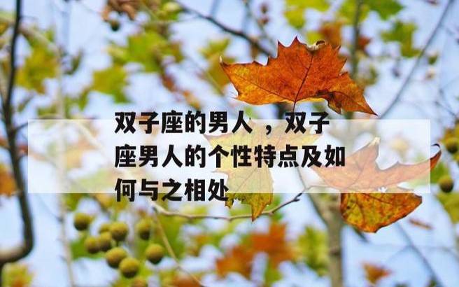 双子座男生的性格有何特点