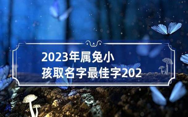 宝宝取名生辰八字五行查询免费，宝宝名字大全2023属兔