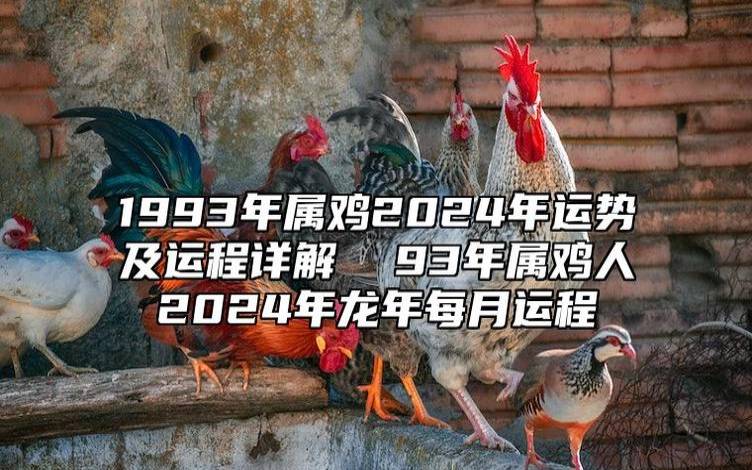 属鸡人2024年1月运势