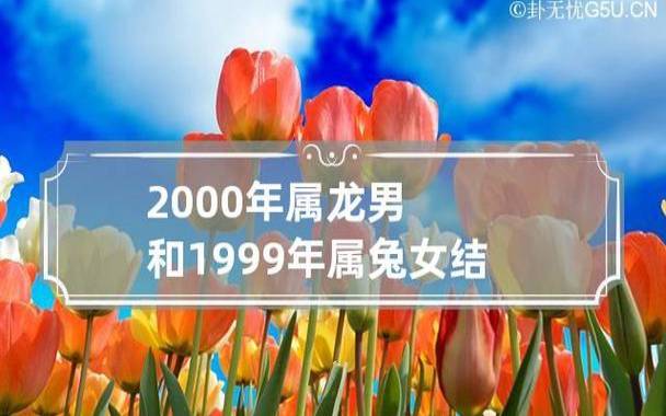 1999年属兔的姻缘,分析生肖兔的合婚婚姻 1999年属兔的姻缘,分析生肖兔的合婚婚姻