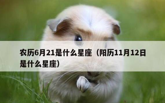 摩羯座性格简介,12月21日1月20日 摩羯座性格简介,12月21日1月20日