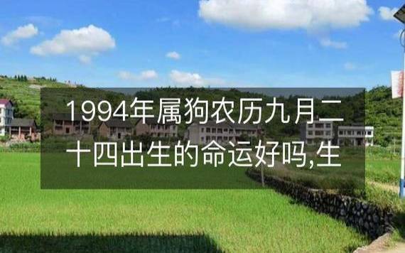 2022年9月2日出生八字，婴儿好名字八字起名
