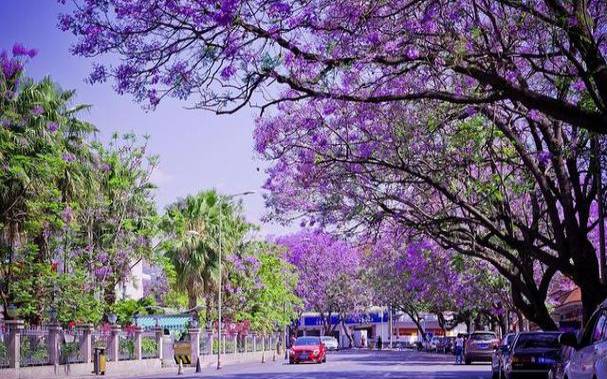 牡羊座的浪漫之旅