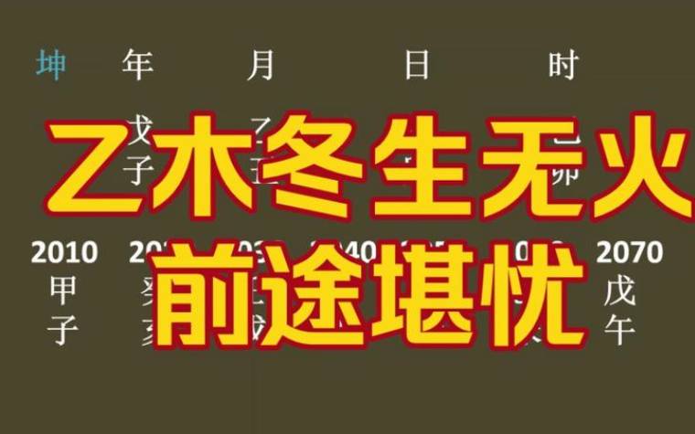 乙木生于丑月