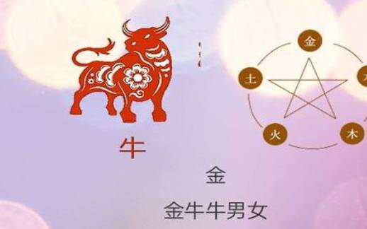 金牛座男生的性格，金牛座女生的性格