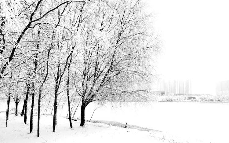 做梦梦见下雪是什么意思 做梦梦见下雪是什么意思