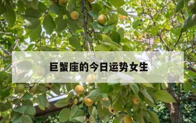 巨蟹座2023年女全年运势