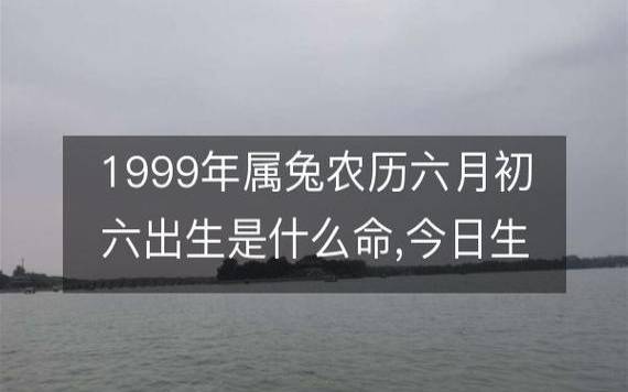 2019年八字辛未月运势,己土/食神月 2019年八字辛未月运势,己土/食神月