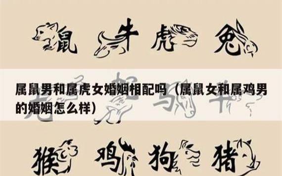 属鸡与属鼠的相配吗,感情事业健康子孙运势全解析 属鸡与属鼠的相配吗,感情事业健康子孙运势全解析