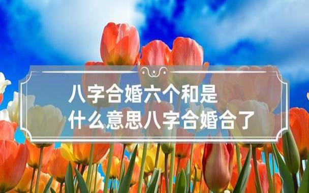 两人八字相合越多代表什么 两人八字相合越多代表什么
