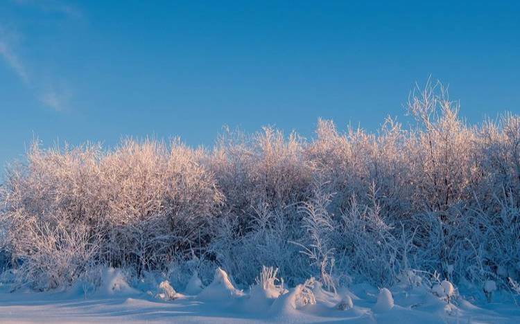 蒂姆2023年十二星座运势