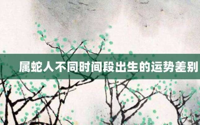 属蛇午时出生的男孩命运解析,五行特点与运势分析 属蛇午时出生的男孩命运解析,五行特点与运势分析