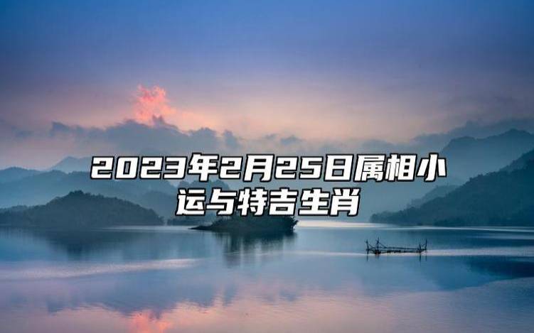 2022年5月25日十二生肖运势解析