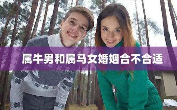 不同年份的属牛人婚姻运势好不好，属牛姻缘预测