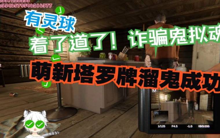 塔罗占卜你会遭遇网络骗子吗 塔罗占卜你会遭遇网络骗子吗