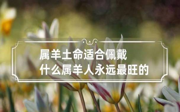 土命做什么行业比较旺，事业运势
