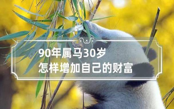 90年的属马32岁走什么运,运势怎么样 90年的属马32岁走什么运,运势怎么样