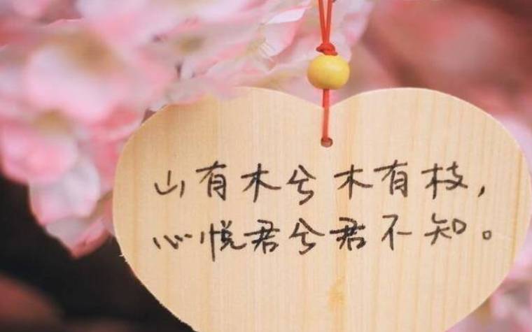 万人迷天秤座全方位解析