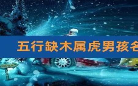 2022姓杨属虎的男孩名字，杨姓取名