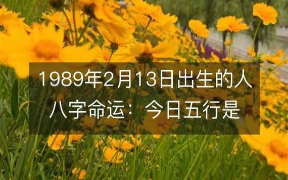 2019年八字丙寅月运势，丙火／偏印月