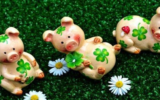 06月10日郑博士最新的生肖运势 06月10日郑博士最新的生肖运势