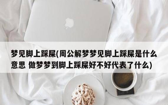 做梦梦见厕所很脏很多屎
