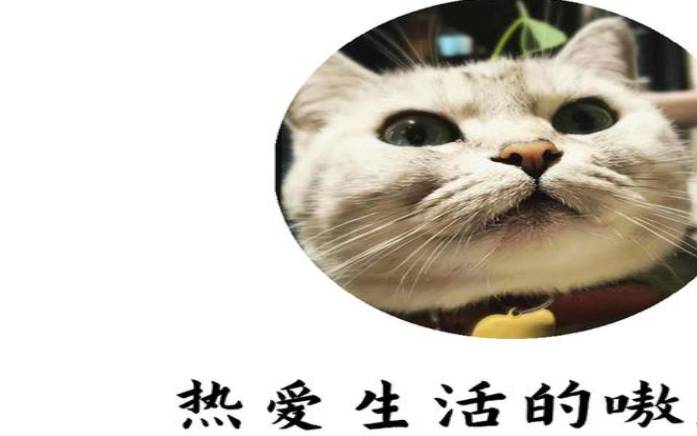 测你作死到什么程度