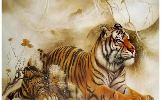 苏民峰2024年属虎人运势及运程，升职好时年