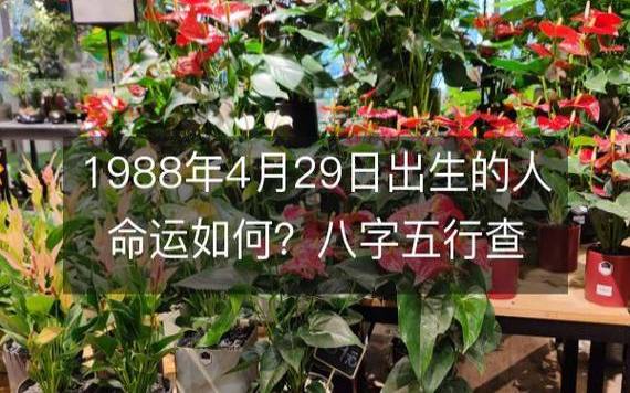 2018年八字丙辰月运势，辛金／正印月