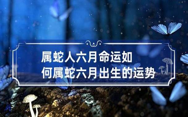 属蛇人命好吗，生肖蛇的一生运势详解