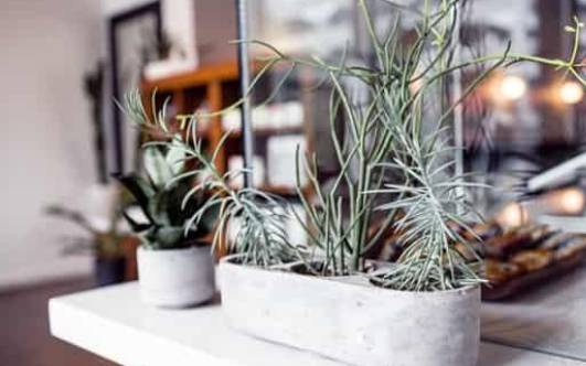 猫石对话每周运势(4.3-4.9)