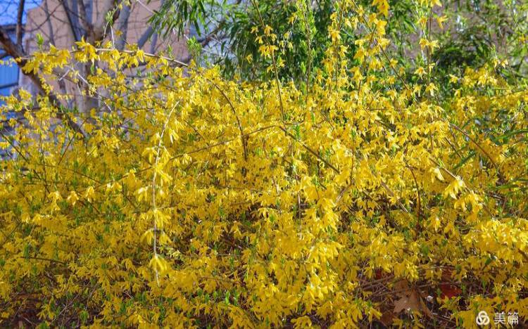 2020年八字流月运势，庚子鼠年