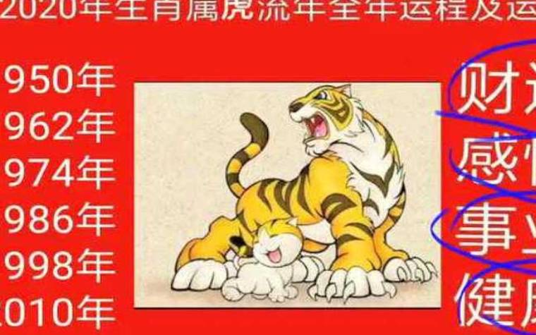 生肖虎逐年运势