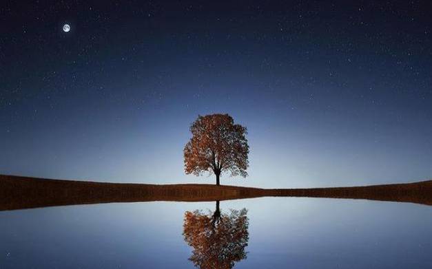 天秤座能避开职场陷阱
