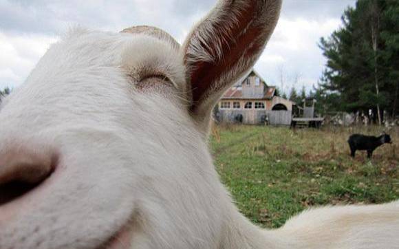 赖国光2018年7月12生肖运势