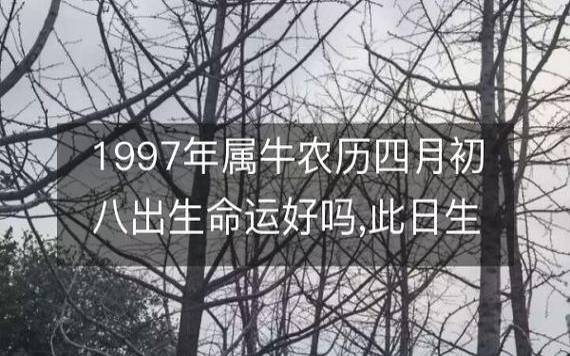 2018年八字丙辰月运势,乙木/正财月 2018年八字丙辰月运势,乙木/正财月