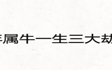 测你2021年会遇到什么劫难